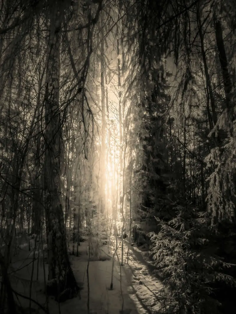 Finalist: Elsewhere by Francisco Gonzalez Camacho - LensCulture Photobook Prize 2026 Winners