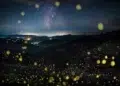 LensCulture Photobook Prize 2026 Winners
