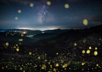 LensCulture Photobook Prize 2026 Winners