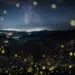 LensCulture Photobook Prize 2026 Winners