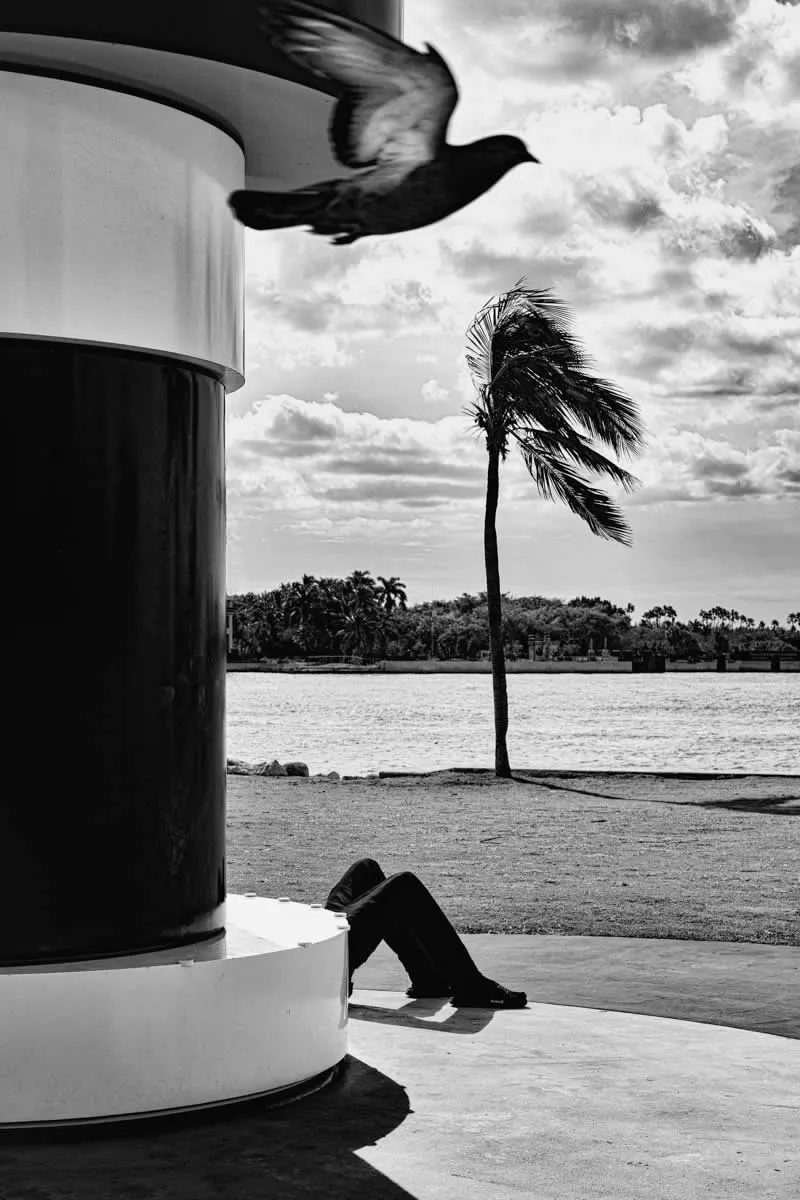 Miami Coincidence by Donna Maria Lancia, United Kingdom - MonoVisions Awards 2026 Street Winners