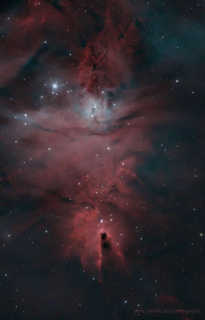 Ngc2264 - The Cone Nebula/Christmas Tree Cluster - Night Sky Photos Captured by David Joyce