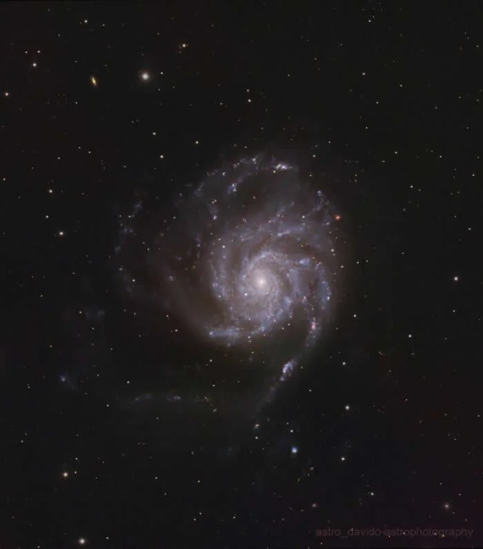 M101 - The Pinwheel Galaxy - Night Sky Photos Captured by David Joyce