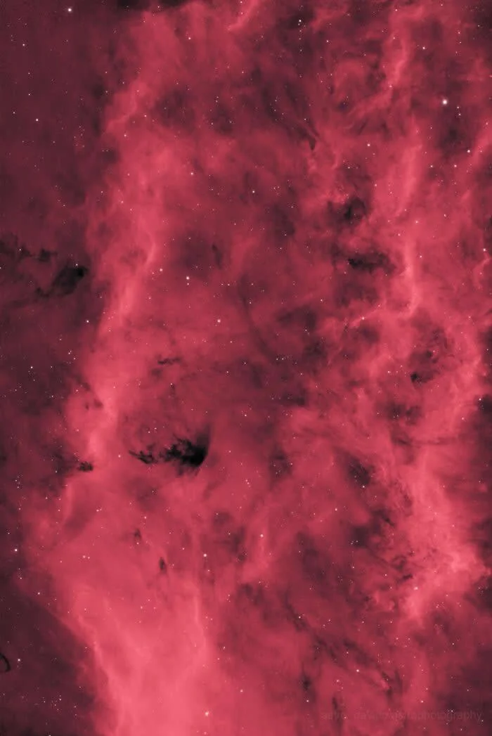 Ngc1499 - Closeup Of The California Nebula - Night Sky Photos Captured by David Joyce