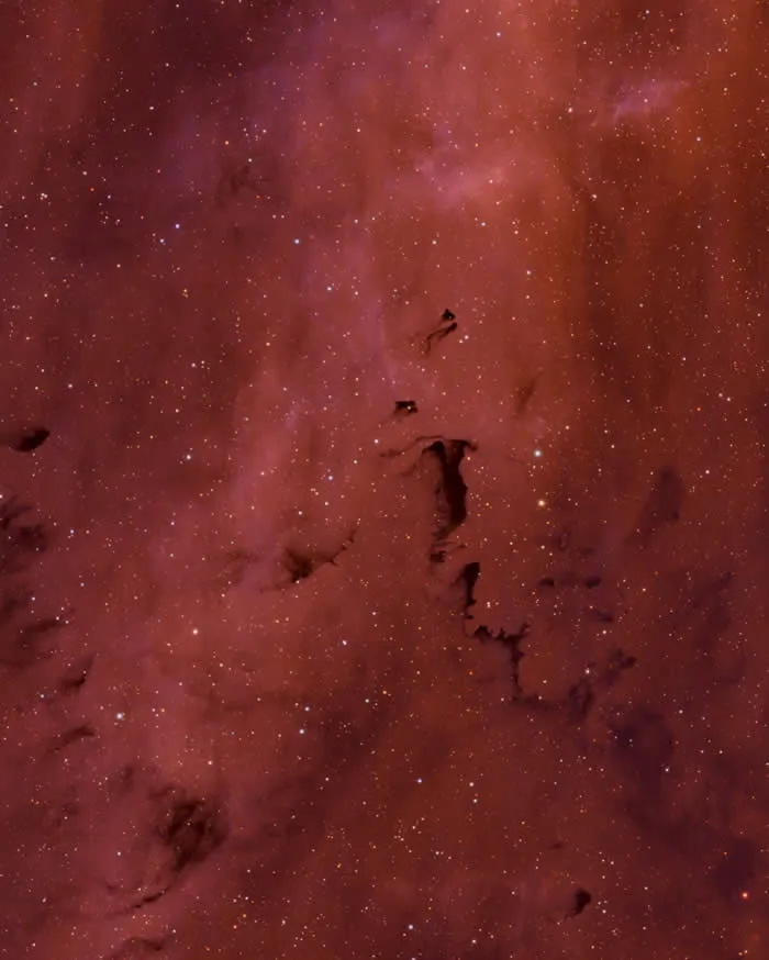 This is Sh2-119, the Clamshell Nebula - Night Sky Photos Captured by David Joyce