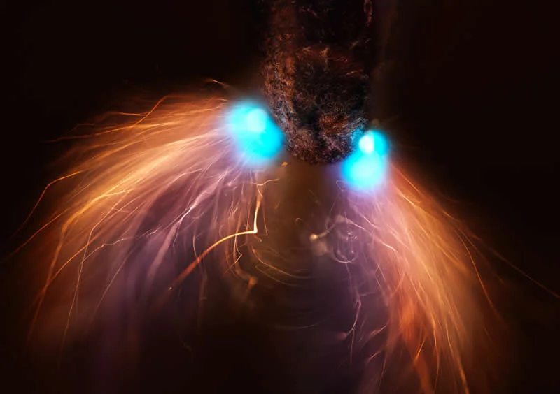 42 Award-Winning Photos From Nikon Small World Photomicrography Competition Reveal a Hidden Universe 52 8th Place: Pencil lead during exposure to a high-voltage electrical discharge by Dr. Marcel Clemens - Nikon Small World Photomicrography Competition Winners