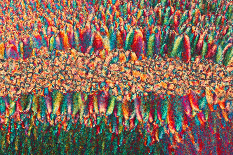 42 Award-Winning Photos From Nikon Small World Photomicrography Competition Reveal a Hidden Universe 57 13th Place: Recrystallized estrogen by Sebastian Sparenga - Nikon Small World Photomicrography Competition Winners