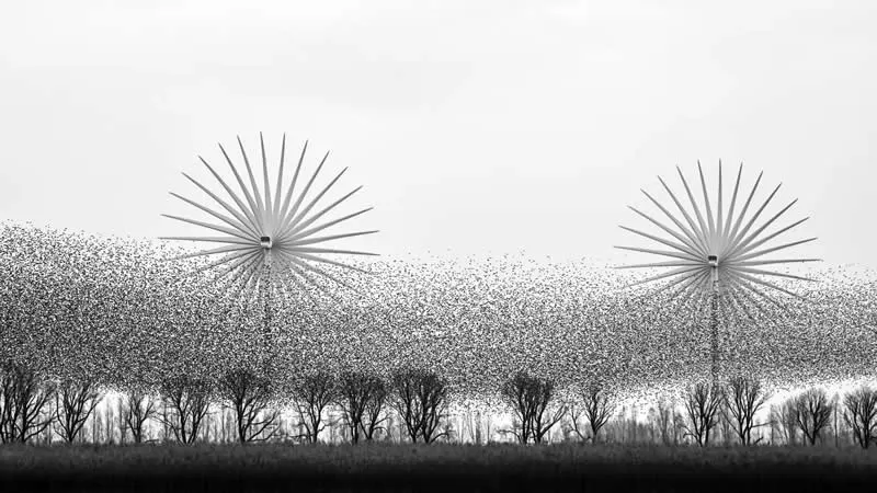 Solutions - 2nd Place: Blade Barrier by Alex Pansier, Netherlands - OurNature Environmental Photography Award 2026 Winners