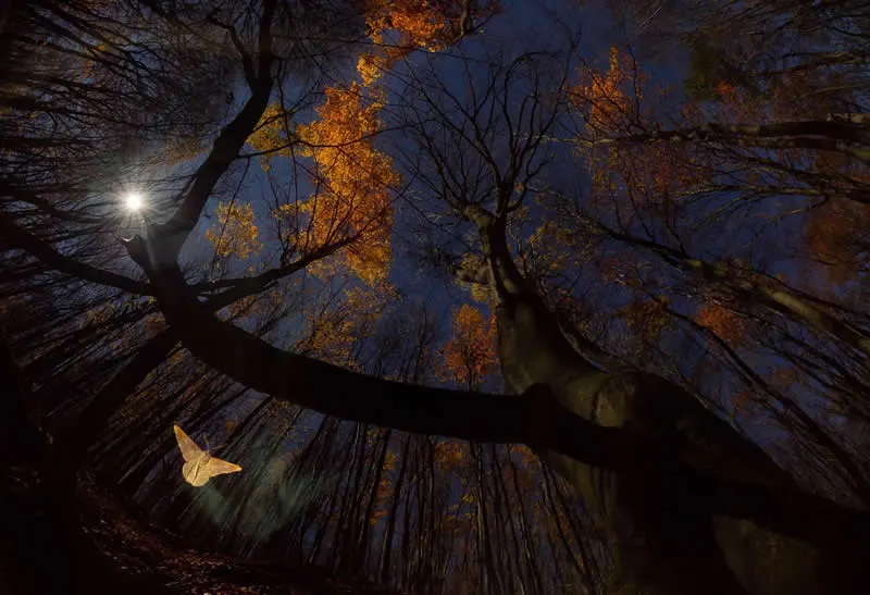 Carpathian Basin - 1st Place: Moonlight by Imre Poty&oacute;, Hungary - OurNature Environmental Photography Award 2026 Winners