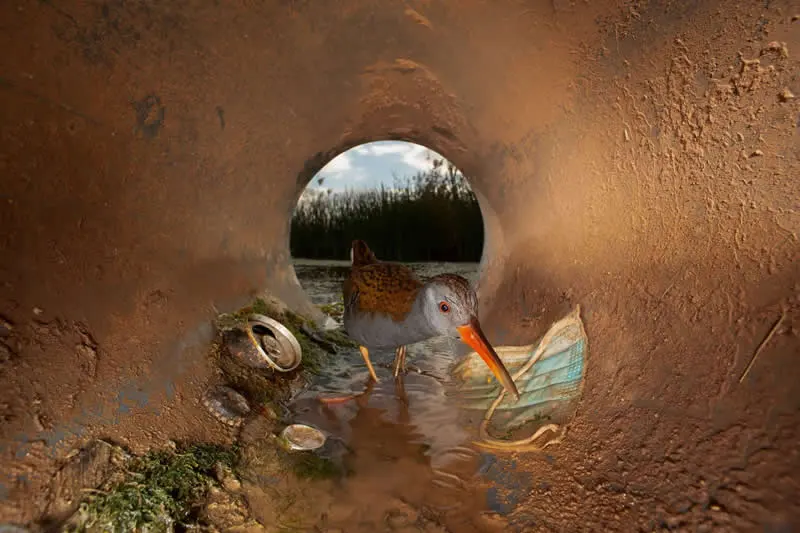 Our Footprints - Shortlist: Pipe of Pollution by Juli&aacute;n Fernandez Quilez, Spain - OurNature Environmental Photography Award 2026 Winners