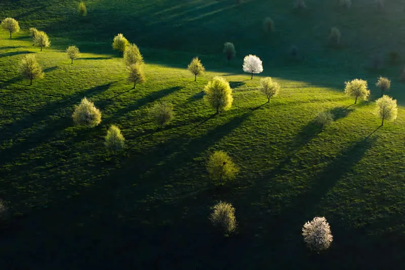 Carpathian Basin - Shortlist: Sun Worshippers by L&aacute;szl&oacute; T&oacute;th, Hungary - OurNature Environmental Photography Award 2026 Winners