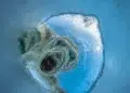 A Powerful Polar Bear Photo Wins the OurNature Environmental Photography Award 2026