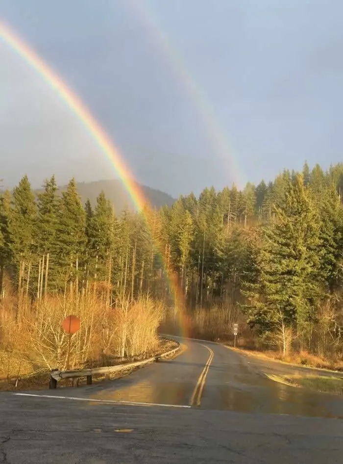 A colorful rainbow appears to meet a winding two-lane road surrounded by evergreen trees and golden roadside grasses beneath a pale blue sky.