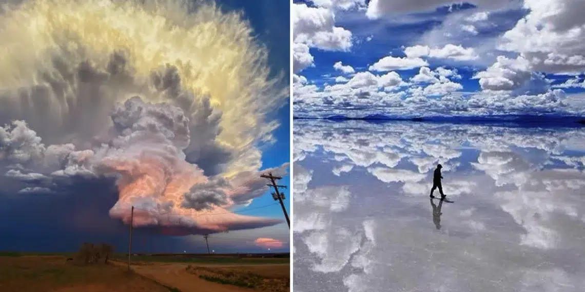 Perfectly Timed Photos That Look Photoshopped But Are 100% Real