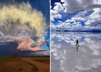 Perfectly Timed Photos That Look Photoshopped But Are 100% Real