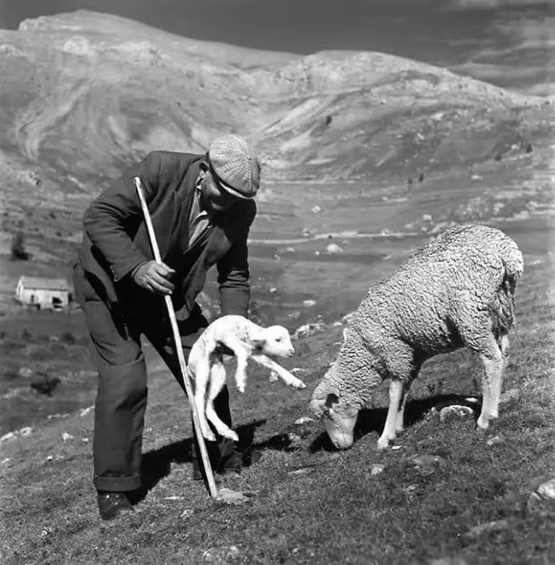 Robert Doisneau The Master Photographer Everyday Life Into Timeless Art