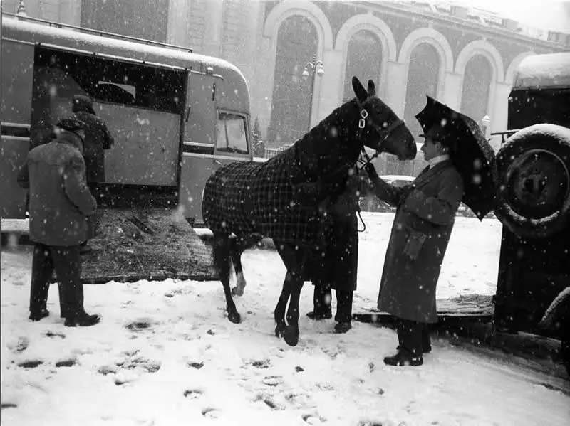 Robert Doisneau The Master Photographer Everyday Life Into Timeless Art
