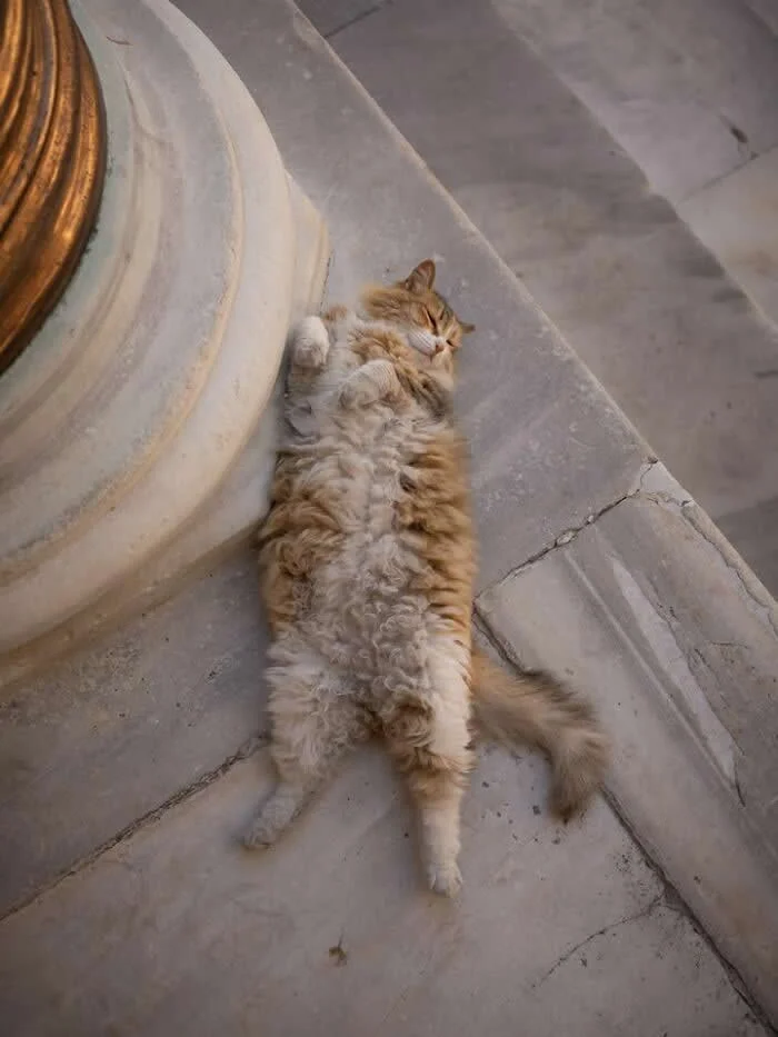 A fluffy ginger-and-white street cat lying flat on its back on a pale stone pavement, with its belly exposed, paws loosely curled, and tail stretched out beside it.