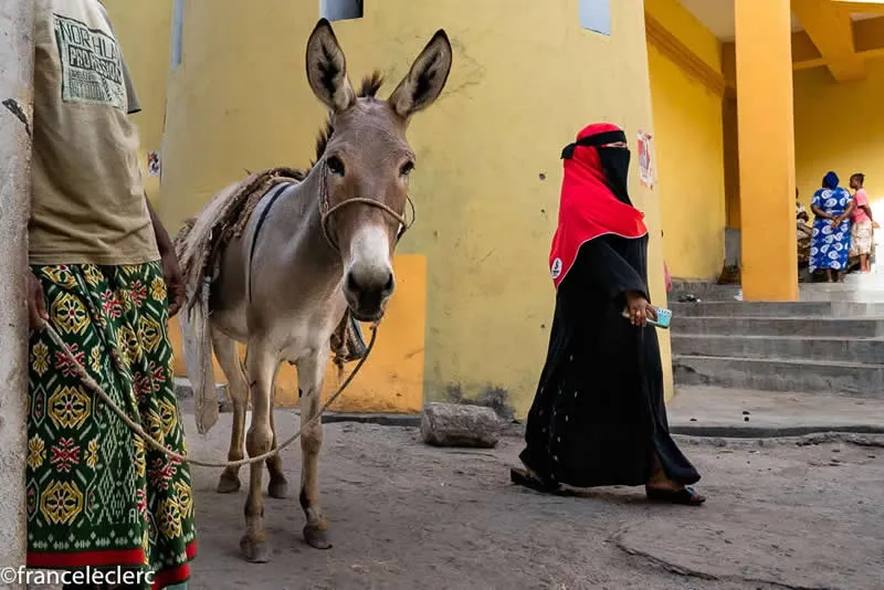 Capturing Humanity: Award-Winning Photographer France Leclerc Explores Life Around the World 43 Lamu town, the oldest and best preserved Swahili settlement in East Africa - Street and Documentary Photography by France Leclerc