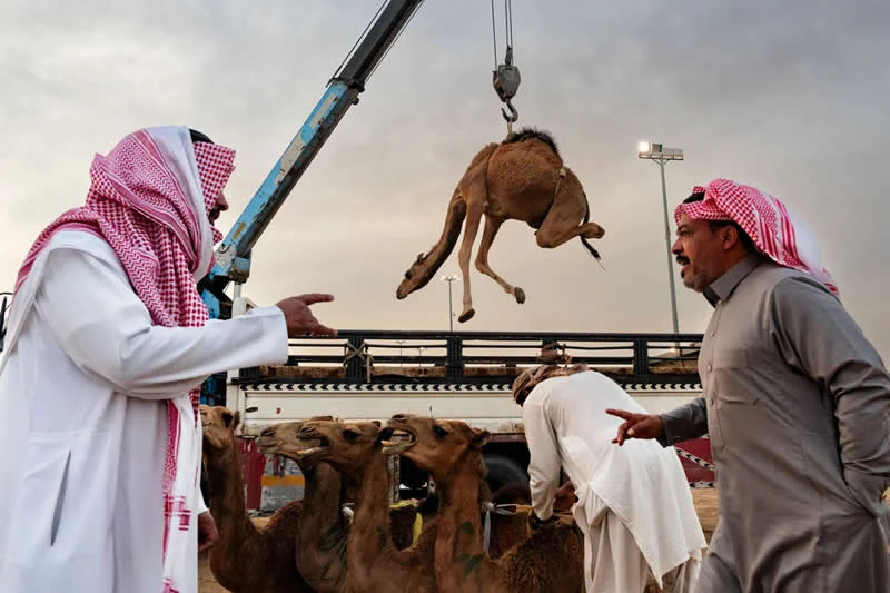 Capturing Humanity: Award-Winning Photographer France Leclerc Explores Life Around the World 50 The Buraidha Market, Saudi Arabia - Street and Documentary Photography by France Leclerc