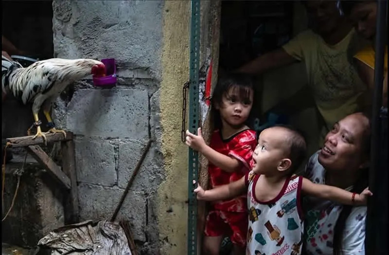 Capturing Humanity: Award-Winning Photographer France Leclerc Explores Life Around the World 59 A new friend?, Manila, Philippines - Street and Documentary Photography by France Leclerc