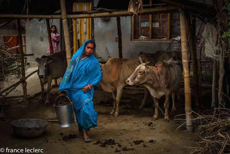 Capturing Humanity: Award-Winning Photographer France Leclerc Explores Life Around the World 61 Majuli Island, Assam, India - Street and Documentary Photography by France Leclerc