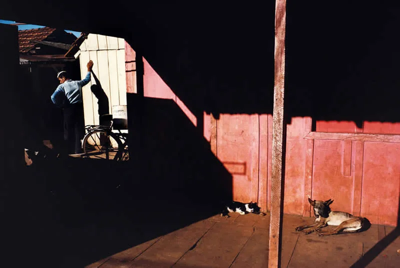 Street Photos Bursting With Shadows, Color and Timing