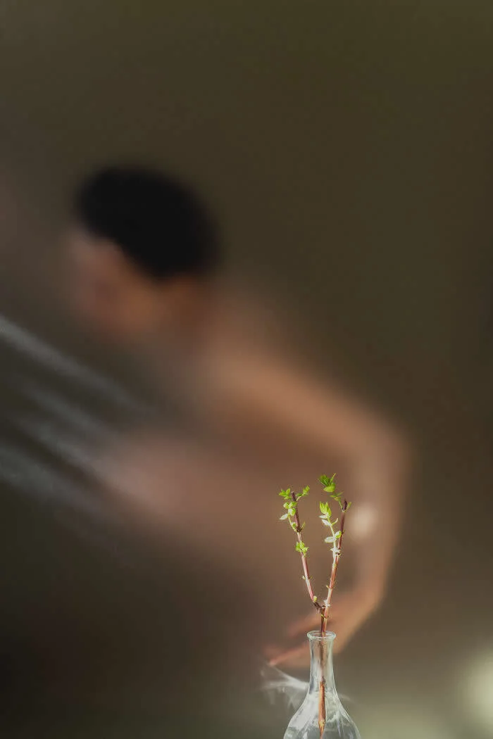 Surreal fine art photograph by Ziqian Liu showing delicate green branches in a clear glass vase in sharp focus, with a softly blurred, seated human figure in the background against a muted olive-green backdrop.