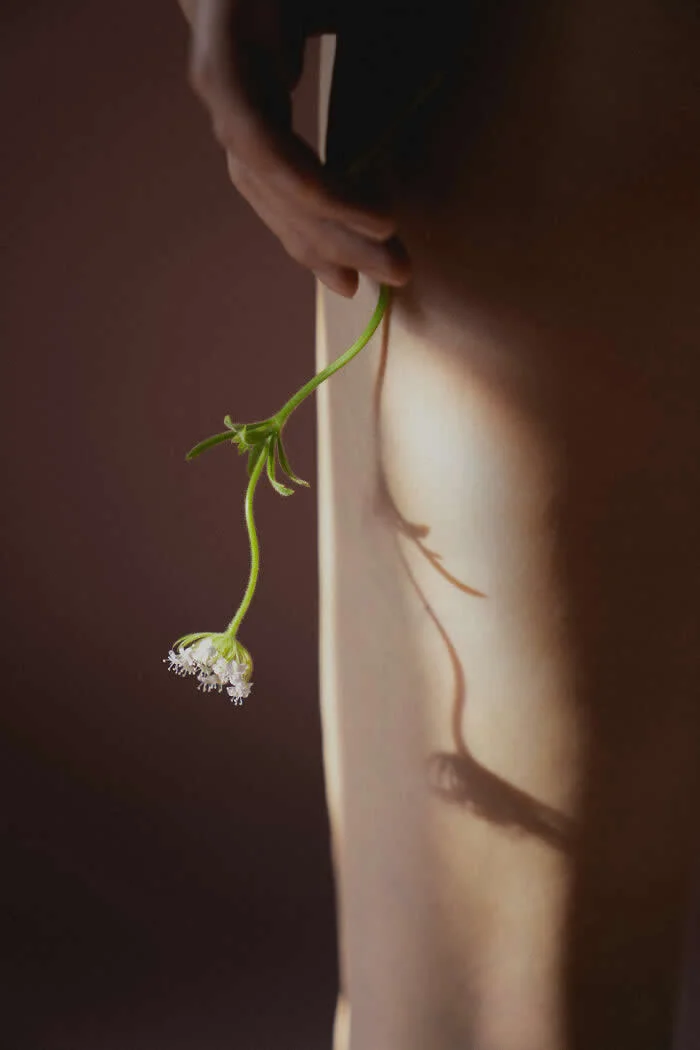 Surreal fine art photograph by Ziqian Liu showing a hand holding a delicate white flower against a softly illuminated bare torso, with dramatic shadows falling across the skin against a dark brown background.