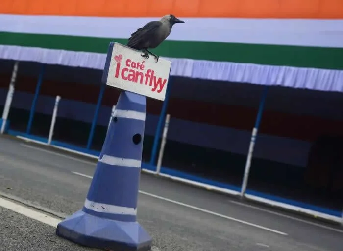 Perfectly Timed Animal Photos: 40 Funny and Unexpected Moments by Pranay Pariyar 53 A black crow sits on a café sign attached to a blue-and-white traffic cone in front of a storefront decorated with orange, white, and green stripes.