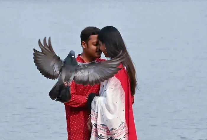 Perfectly Timed Animal Photos: 40 Funny and Unexpected Moments by Pranay Pariyar 73 A gray pigeon flies with its wings spread in front of a couple embracing beside a body of water, creating a funny interruption to their romantic moment.
