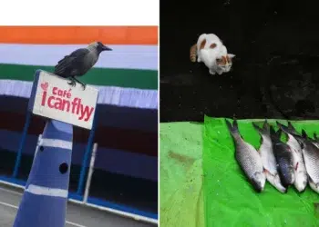 Funny and Unexpected Moments by Pranay Pariyar