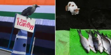 Funny and Unexpected Moments by Pranay Pariyar