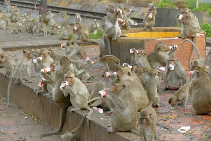 Breakfast Time by Vittorio Ricci - Urban Photo Awards 2026 Winners