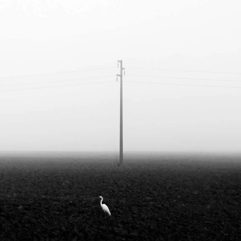 Electric Horizon by Pietro Abbagnato - Urban Photo Awards 2026 Winners