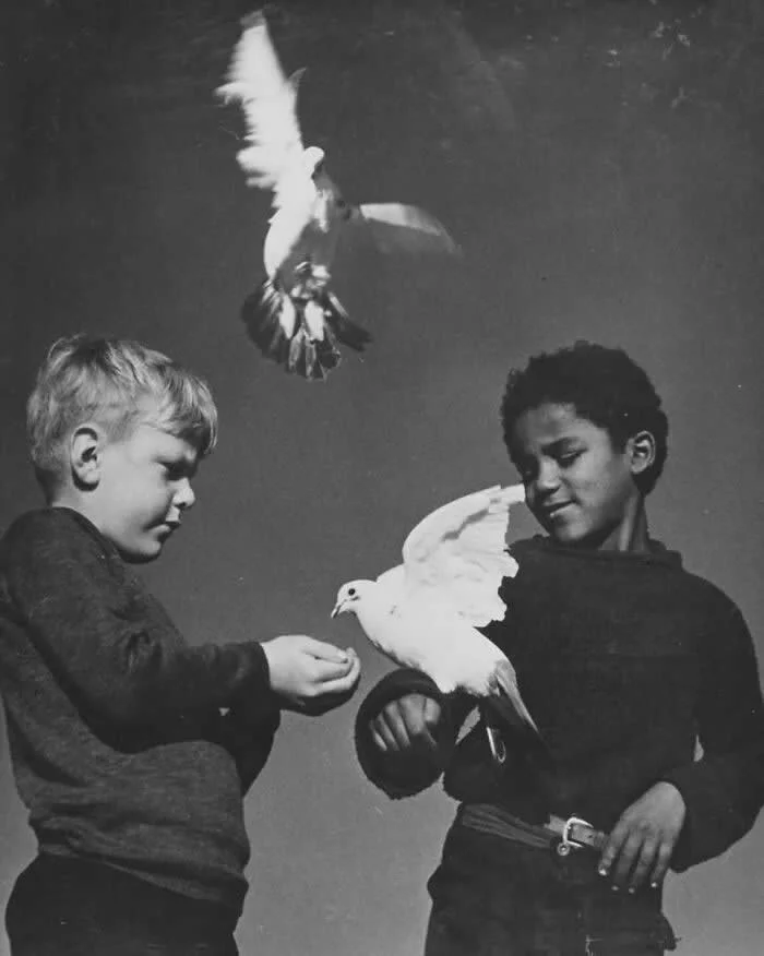 Two children interacting with white doves in a black-and-white photograph, with one dove perched on a child&rsquo;s arm and another flying overhead against a dark background.