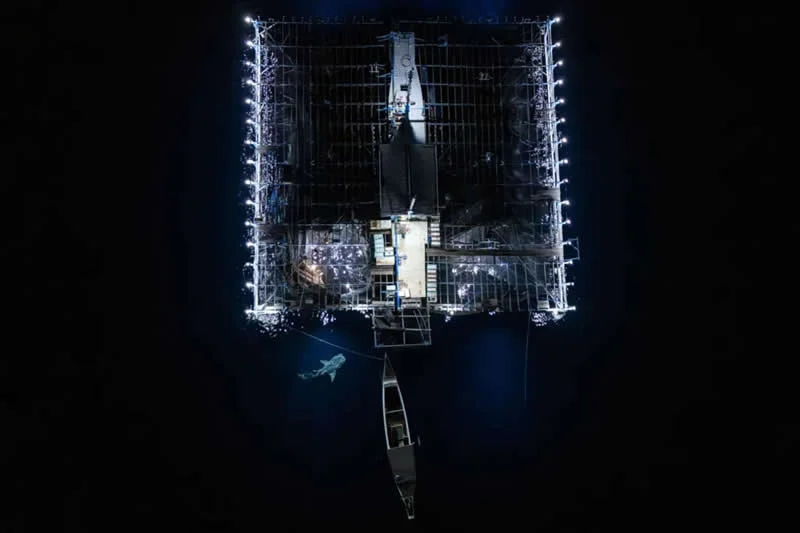 Oceans: The Bigger Picture: Night-Time Catch by Alex Lindbloom, USA - Wildlife Photographer of the Year 2026 Winners